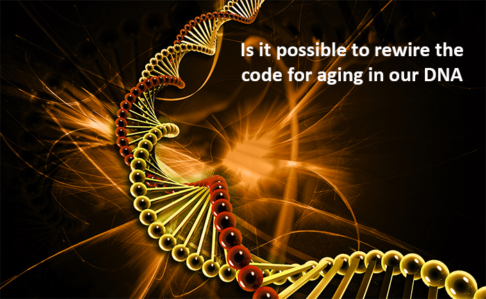 人类长生不老可能引发的社会、经济与伦理变