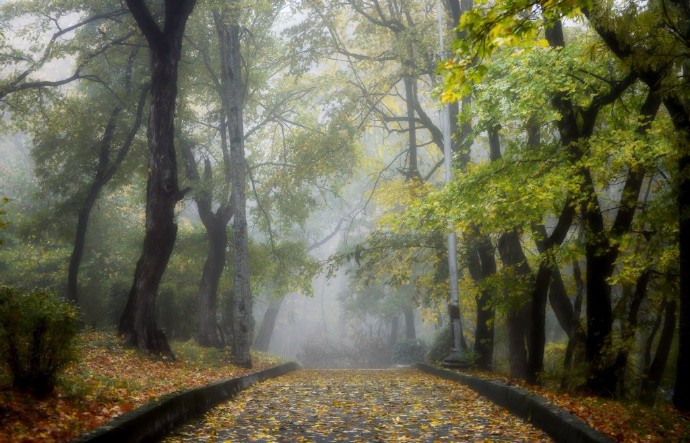 洛阳城里见秋风,欲作家书意万重