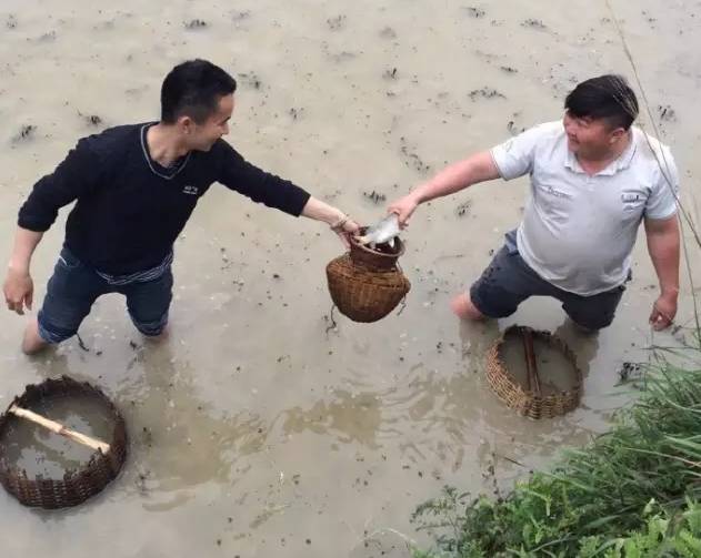 深藏着秘密的黔东南少数民族饭桌上的图腾