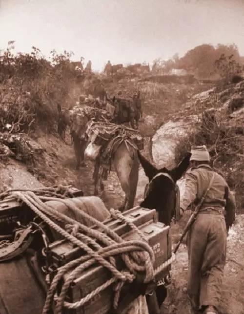 1962年中印边境战争图片集(印度军)
