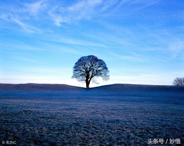 命运真的可以改变吗?数十年命理经验的命理师的感悟总结值得收藏