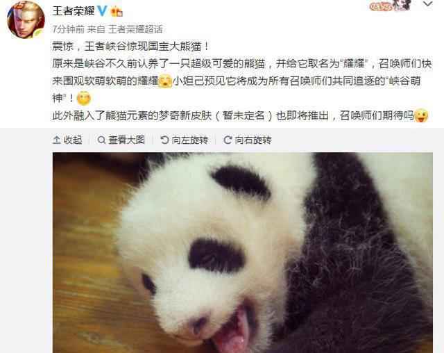 梦琪新皮肤原画曝光,非常值得看的一篇文章