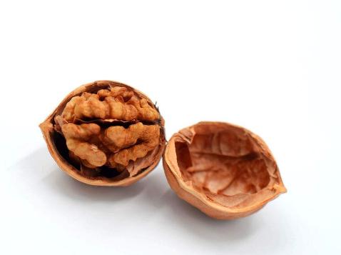 还把核桃壳当垃圾扔掉吗?想不到它还有4大药用价值