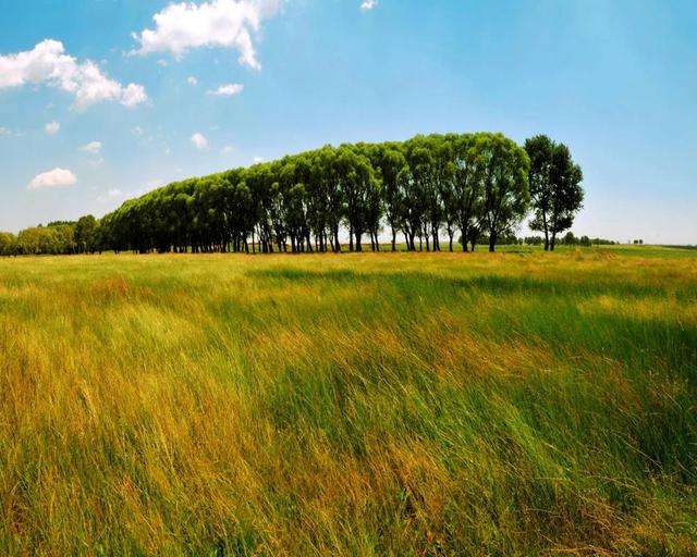 将唐诗离离原上草,一岁一枯荣改填成宋词,白