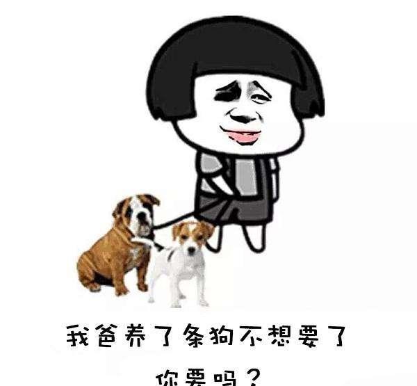 收藏吧!蘑菇头表情包,拿去斗图吧!