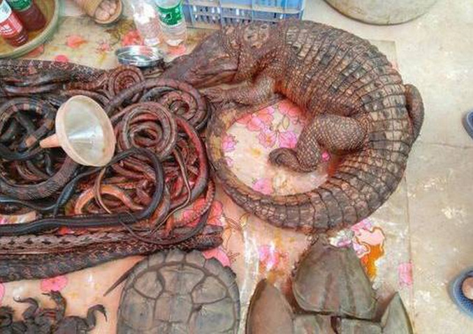 农村集市经常看到的骗局,发现这些东西千万不