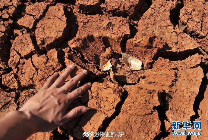 企业外贸网站如何建设 企业网站建设需要注意什么