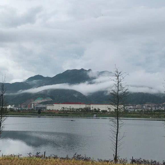 创业板第一股诞生记:7天市值飙升720亿,马云旗