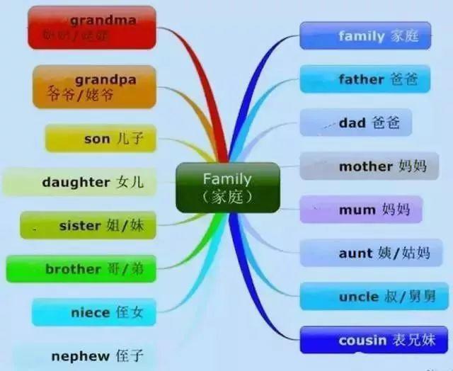 借助单词导图v单词中小学英语瓶颈思维教材?2016初级教学电子版pdf图片