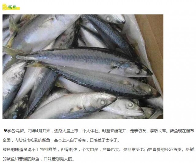 城市寻味地道日照海鲜大海的胸怀