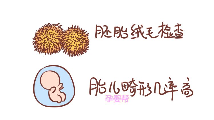 3.胚胎绒毛检查