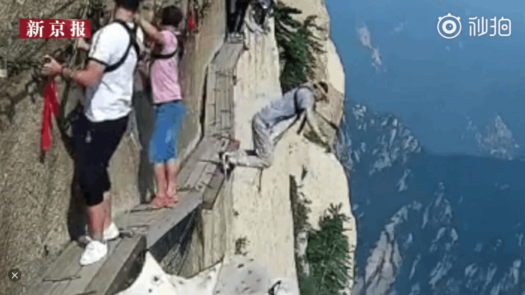 生命来之不易, 纵身一跃成遗憾