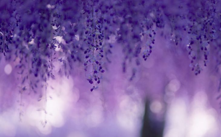 励志语句:忍得住寂寞方能守得住繁华