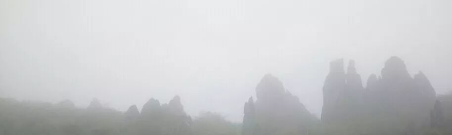 ���μǡ������ɾ���ũ��