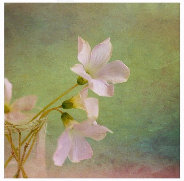 残灯孤盏饯春芳,月照飞零影转廊