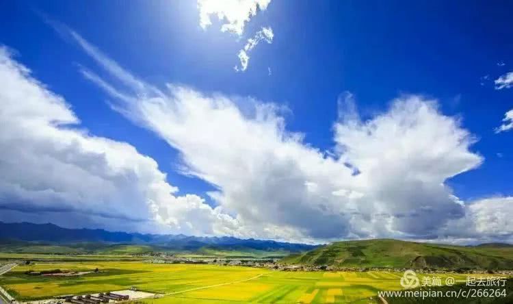 遥远的青海歌词图片