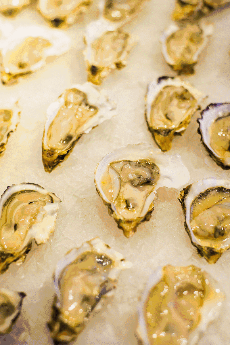 毒王蝙蝠:体内又发现6种高危冠状病毒,对人类的威胁...