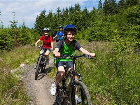 世界十大儿童山地自行车品牌排行榜土拨鼠辐轮王FRW单车