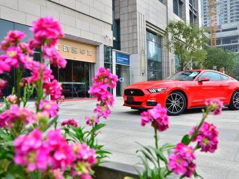 从未见过如此厚颜无耻的跑车！福特Mustang到底是怎样一款车