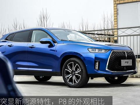 新出行的独家动态体验