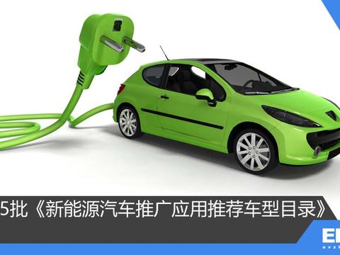 浅析4/5批《新能源汽车推广应用推荐车型目录》