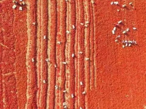 现在出发刚刚好，这个季节带你去南疆看遍世间美景