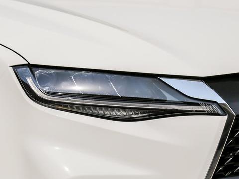 “哈弗“必看资讯都在这，你错过了吗