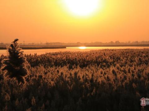 想知道“东风风行“近期资讯盘点，你想要的这里都有