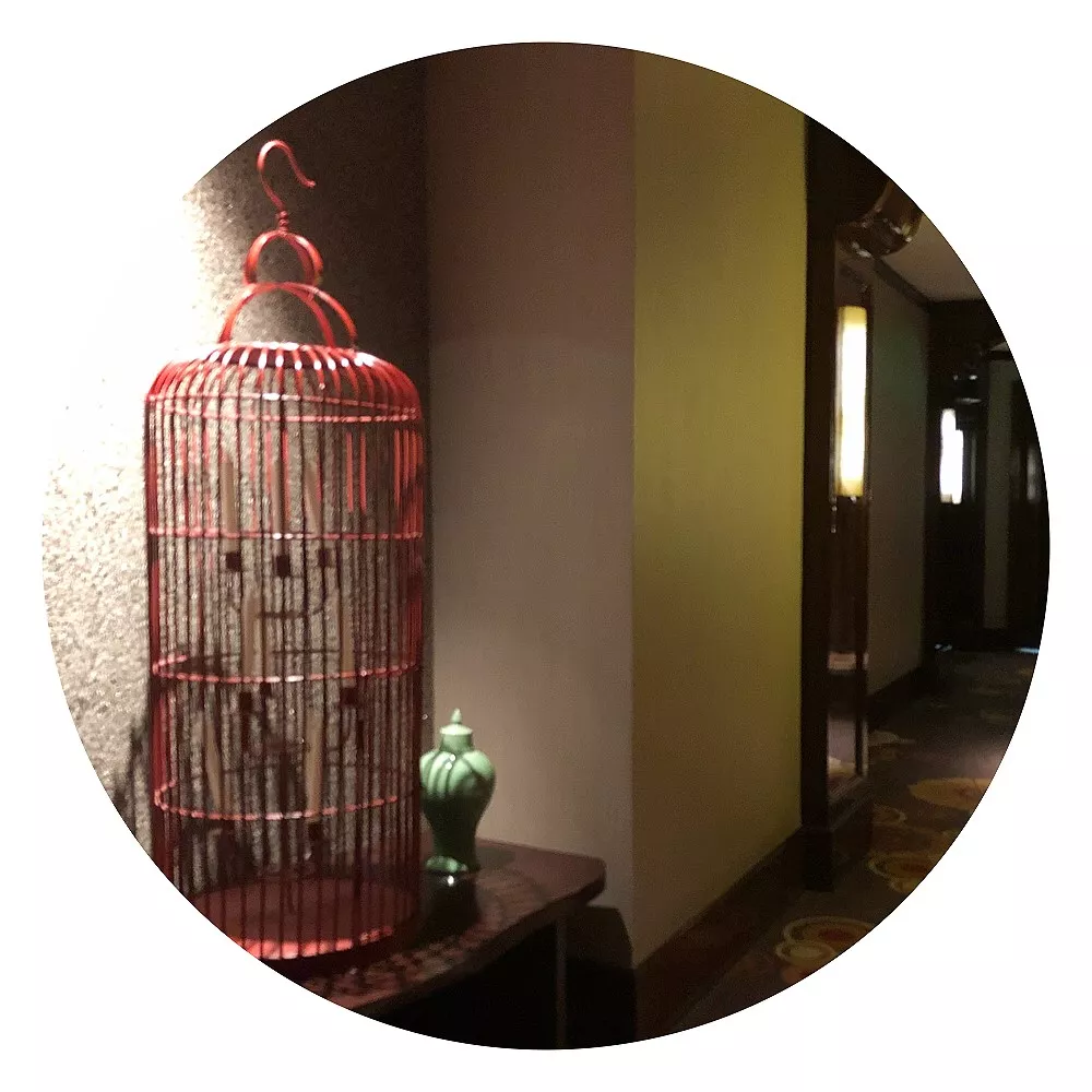 和平饭店 | 比奢华更高级的,是传奇!