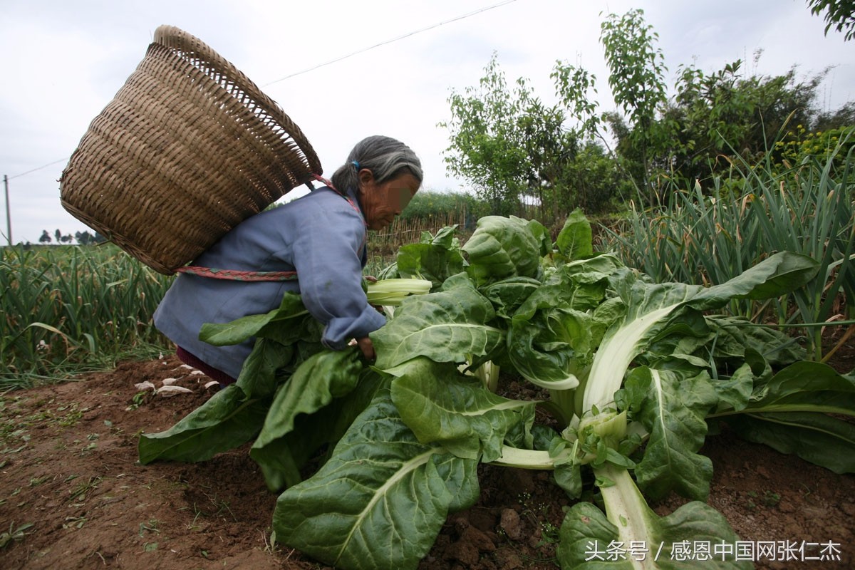 矮小身材的她再也不哭了,哭有什么用?有饭吃吗