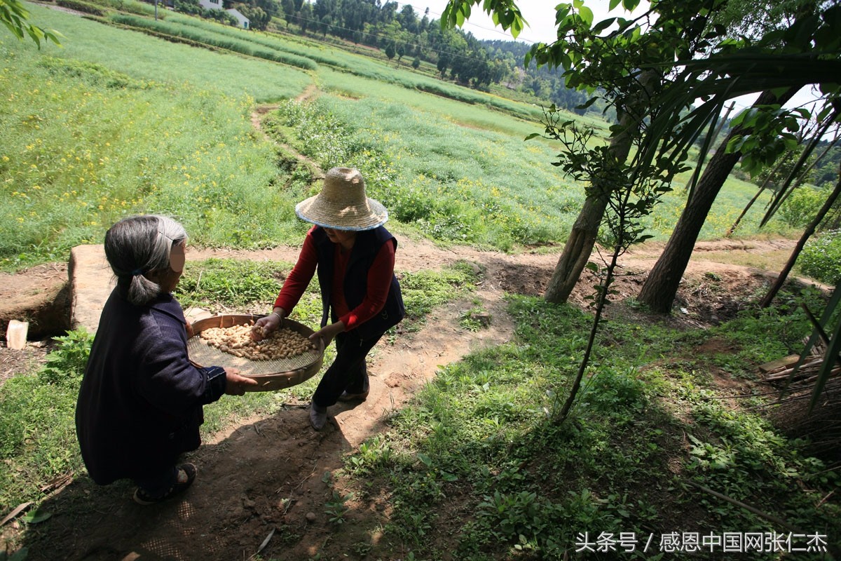矮小身材的她再也不哭了,哭有什么用?有饭吃吗