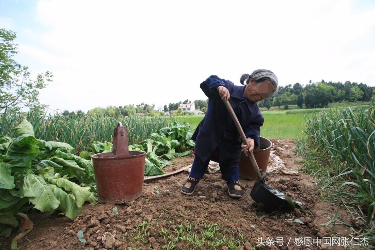 矮小身材的她再也不哭了,哭有什么用?有饭吃吗