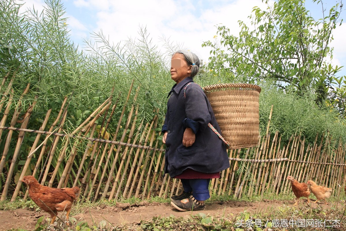 矮小身材的她再也不哭了,哭有什么用?有饭吃吗