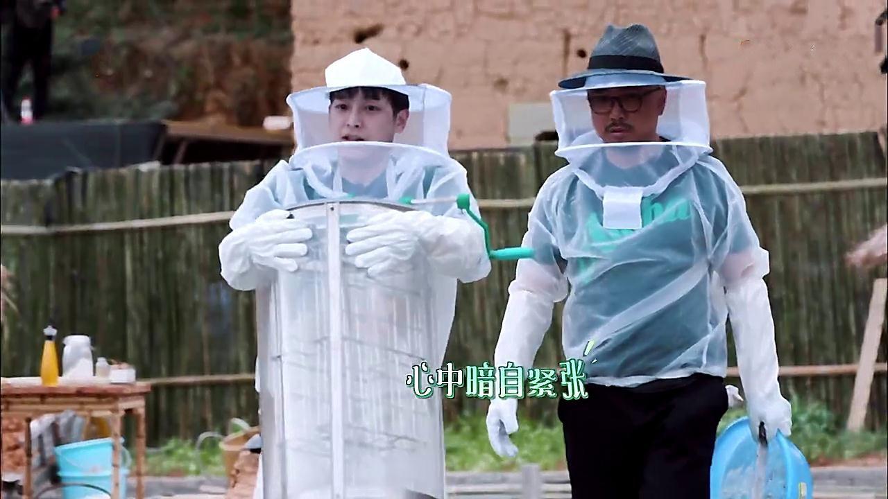 光头洗发哪家好?《向往的生活》找何炅,不想干