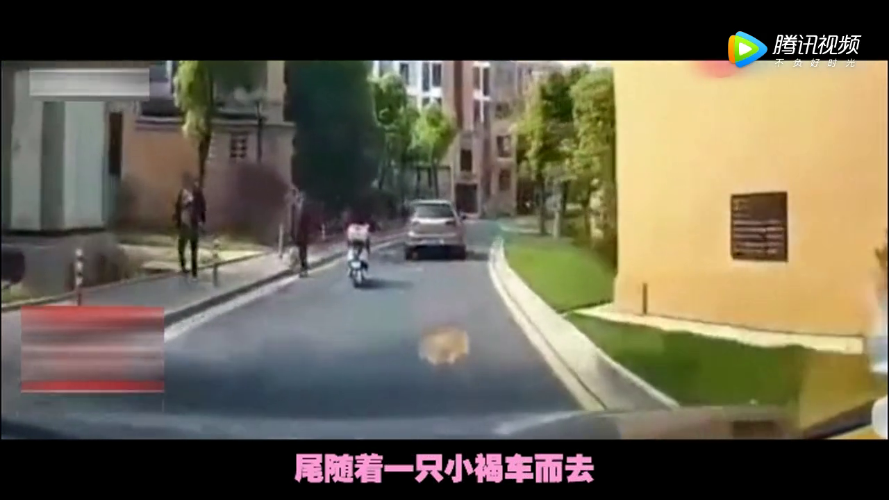 一辆电动车卡在两辆车中间的尴尬