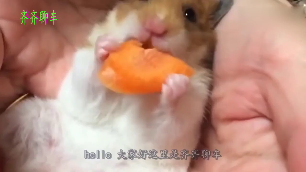 电动车闯红灯被交警拦停，车主不爽对其脚掴交警，结局你猜不到！