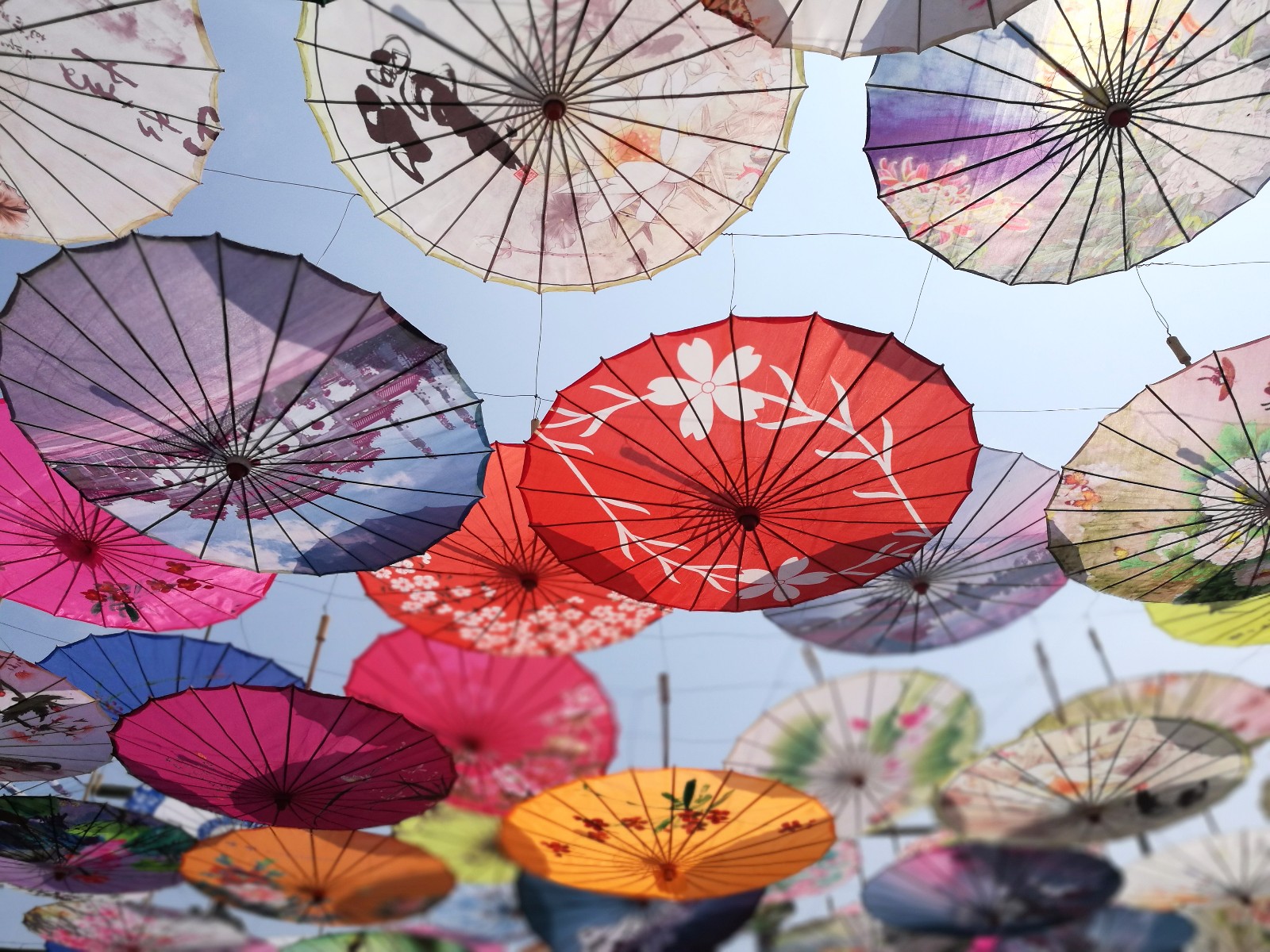 安徽合肥:非遗园万只油纸伞景色壮观