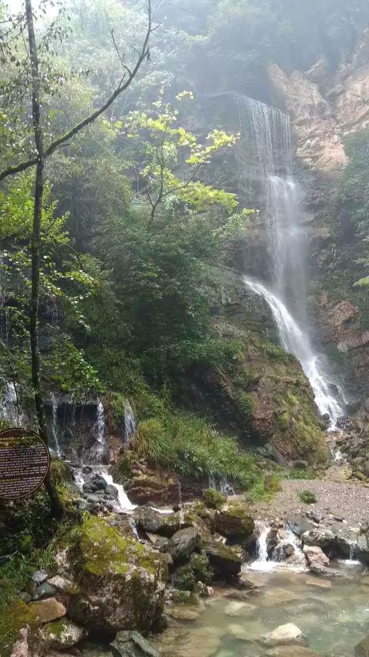 ���μǡ������ɾ���ũ��