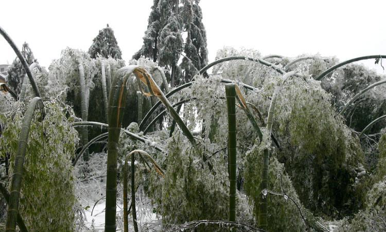 2008年春节大雪灾, 导致半个中国交通瘫痪, 还有多少人记得?