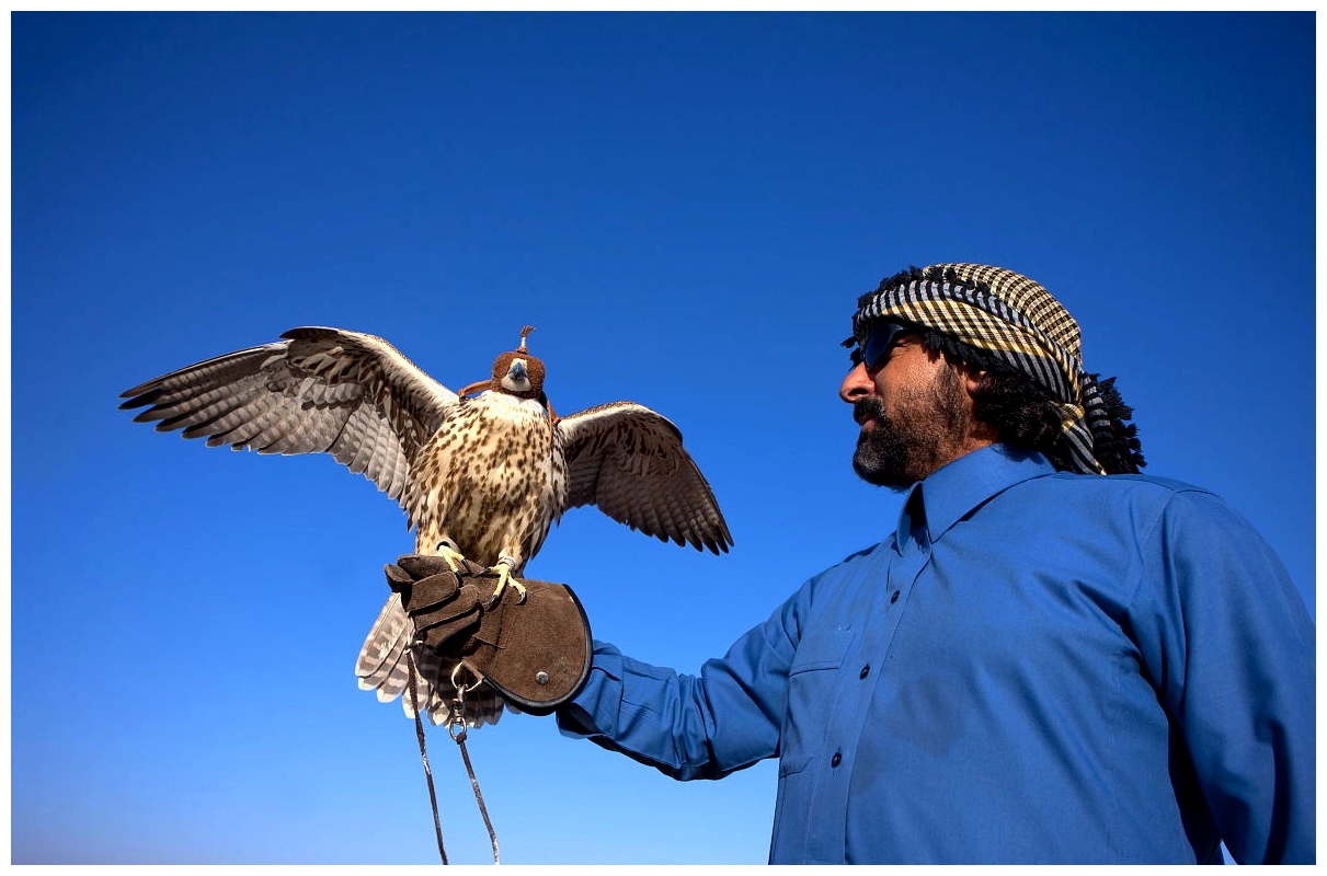 阿拉伯国家图片