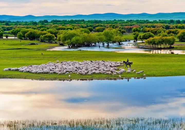 草原自驾招募啦!6月去撒欢,周末嗨起来!