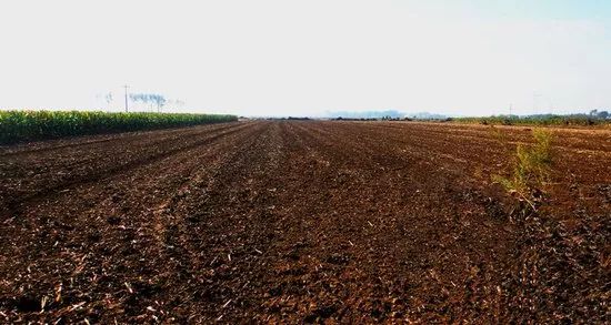 辽宁获批国家级试点,在农村有房有地的人要富