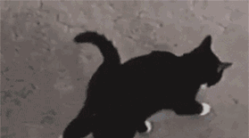 国产高仿大“路虎”曝光，预售9万多起，揽胜车主看了想打人！