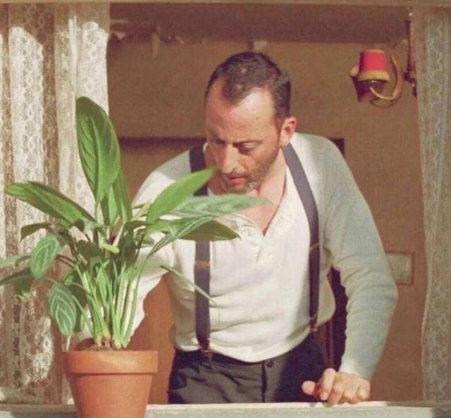 2018最撩人的一问一答式土味情话大合集,七夕