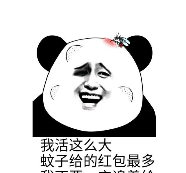 红包系列表情包来袭!求你了,发个红包吧
