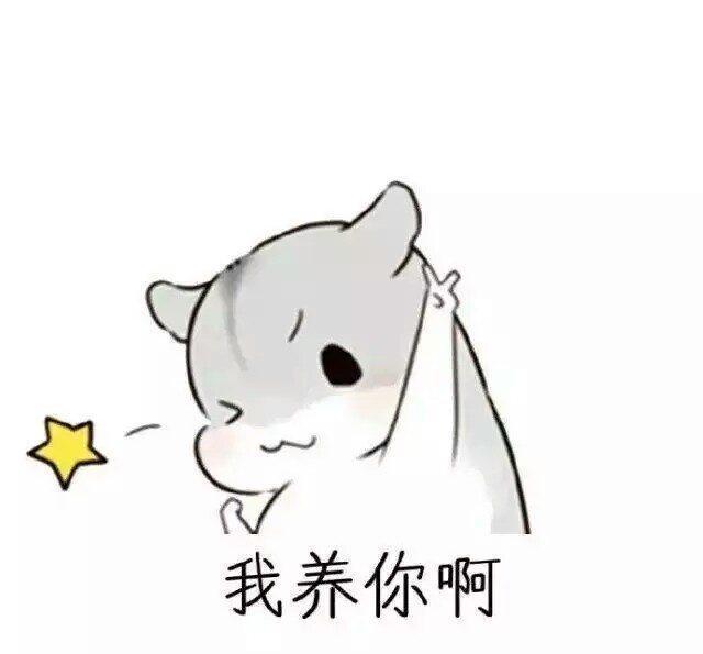 斗图丨仓鼠情侣表情包