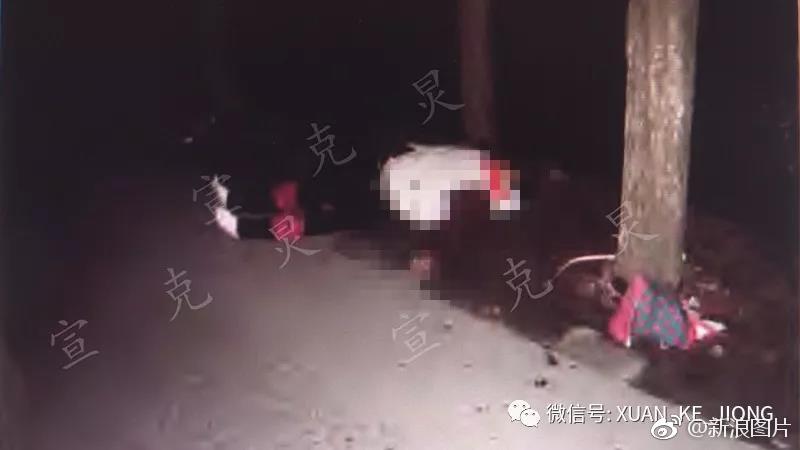 奔驰无证女司机撞死人 获驾照后再撞死人