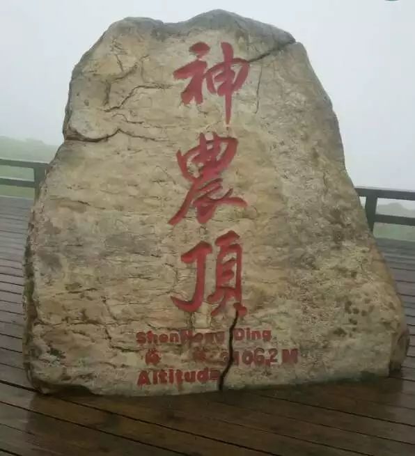 ���μǡ������ɾ���ũ��