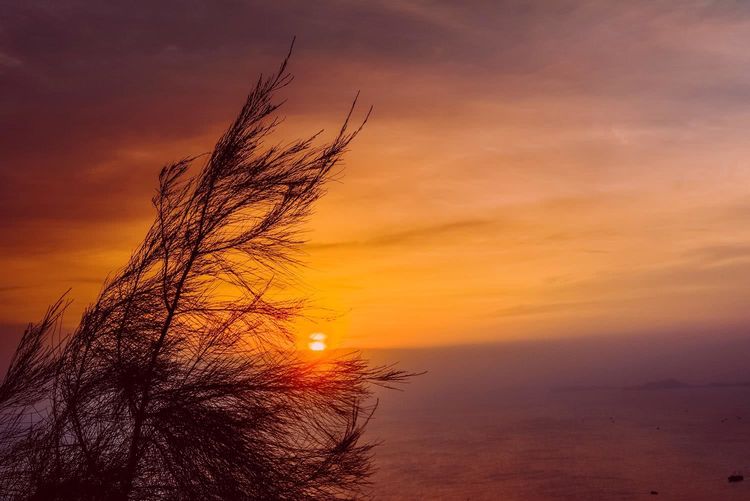 双月湾的日出日落，海龟基地的风景，小兮深圳惠州旅行第七天