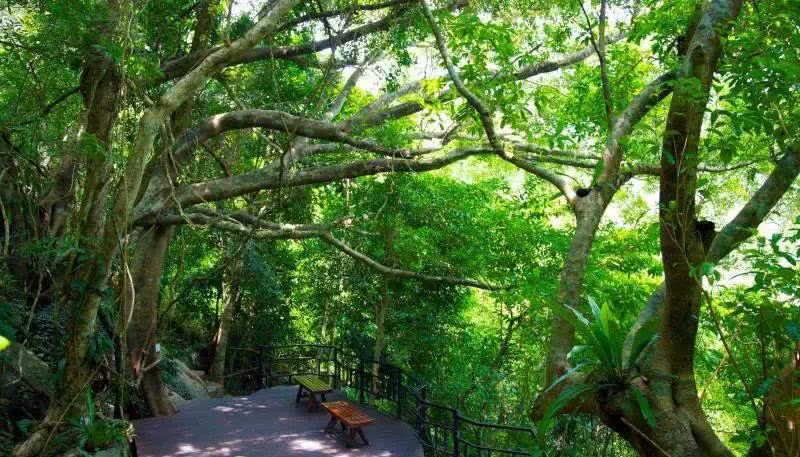 海南建省三十周年之际,请收下呀诺达这份谢礼